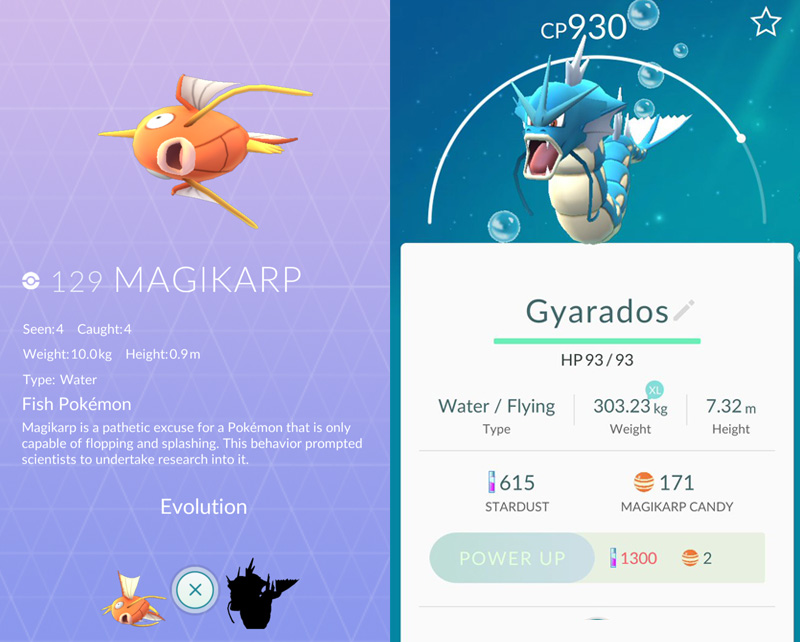 Magikarp (po ewolucji) to Gyarados z Pokemon GO