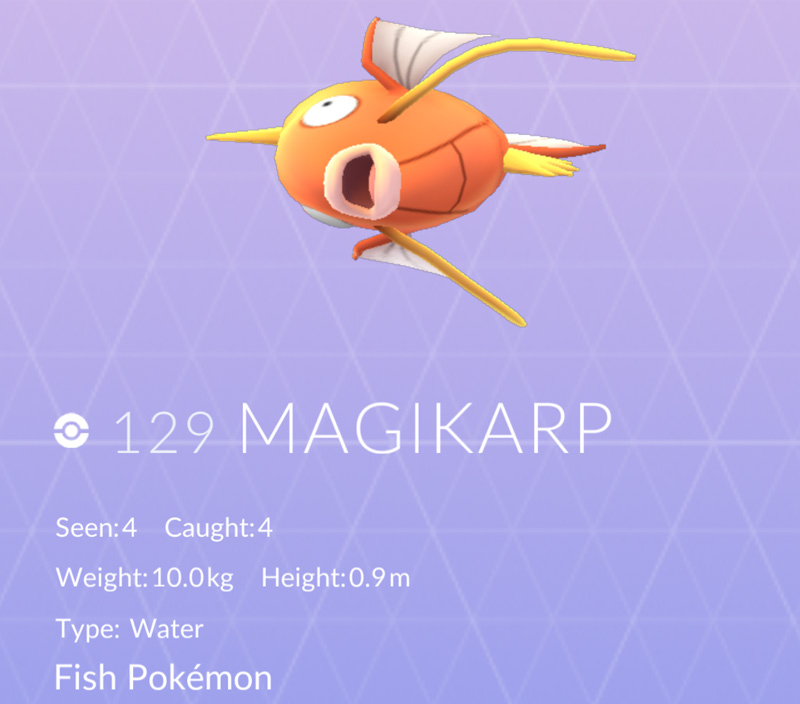 Magikarp fish - Pokemon GO