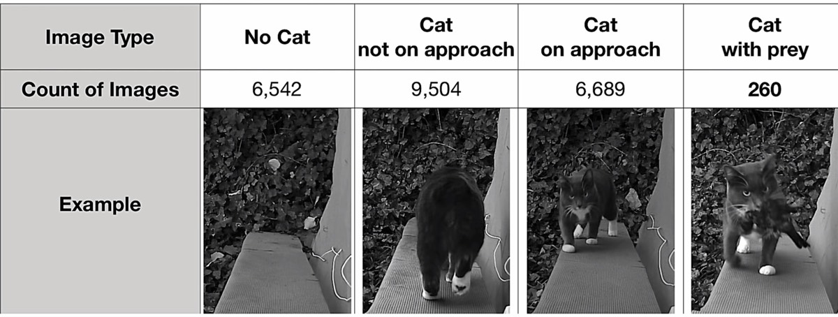 Liczba zdjęć z różnymi sytuacjami z kotem Metriciem załadowane do AI
