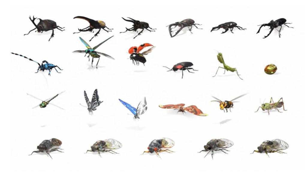 Owady w 3D/AR w Google'u - wszystkie gatunki